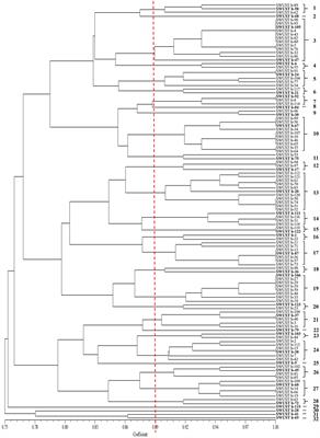 Culturable bacterial endophytes of Aconitum carmichaelii Debx. were diverse in phylogeny, plant growth promotion, and antifungal potential